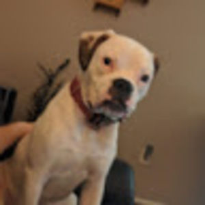 Meet your Posher, Kari